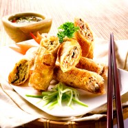 XPOSE Food - Springroll